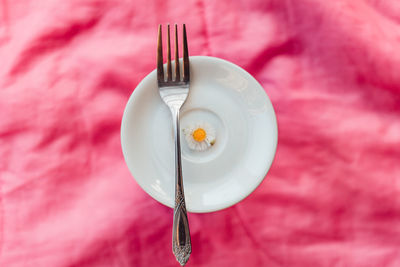 High angle view of white flower in plate