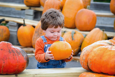 Toddler in overalls picks a perfect pumpkin at a farm to be his halloween jack o lantern