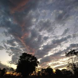 Low angle view of silhouette trees against dramatic sky