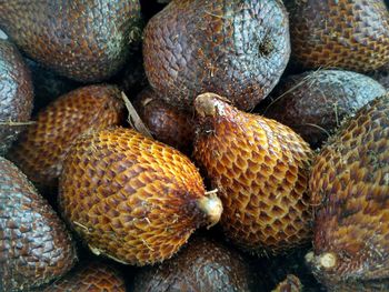 Full frame shot of snake fruits