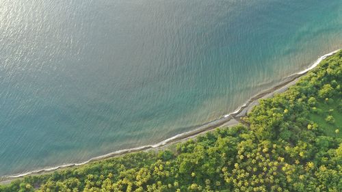 High angle view of sea and trees