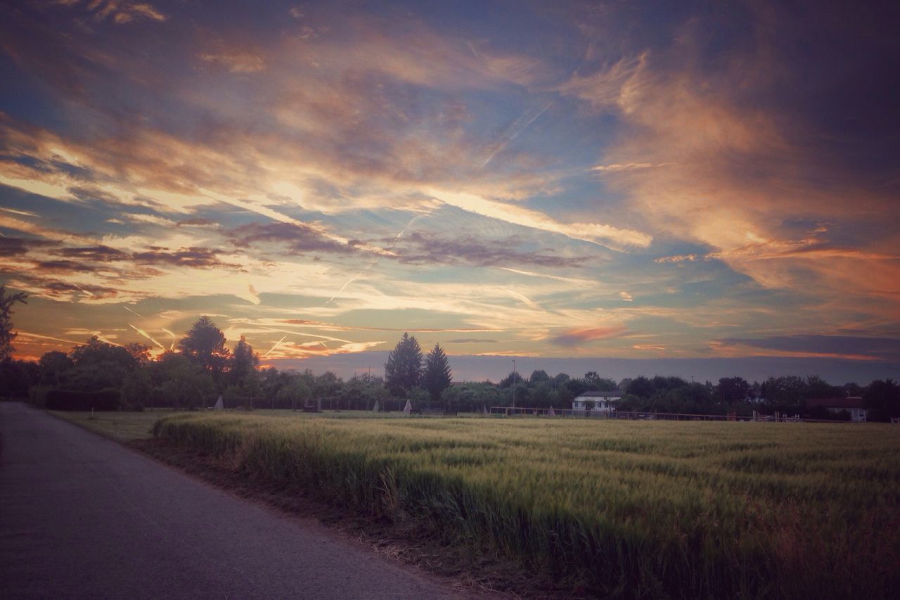 sunset, field, sky, landscape, tranquil scene, rural scene, tranquility, scenics, beauty in nature, tree, agriculture, cloud - sky, nature, farm, orange color, growth, road, cloud, idyllic, grass