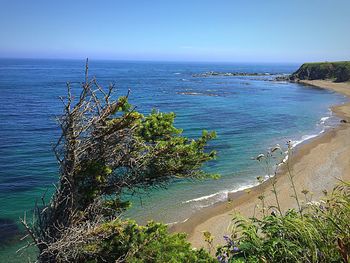 Scenic view of beach