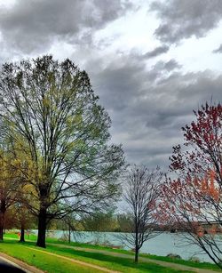 Scenic view of grassy field against cloudy sky