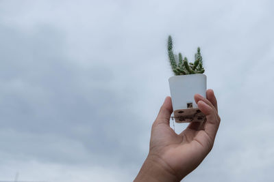 Cropped hand of person holding potted cactus plant against sky
