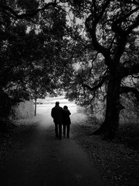 Rear view of couple walking on tree