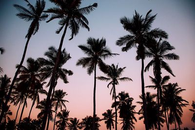 Low angle view of silhouette palm trees against sky during sunset