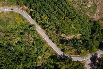 High angle view of road amidst trees in forest