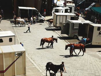 Group of people in city