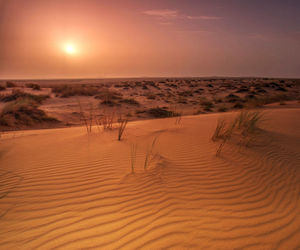 Scenic view of desert against sky during sunset