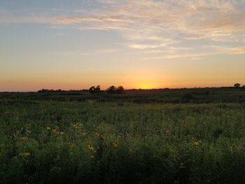 Scenic view of field against sky at sunset