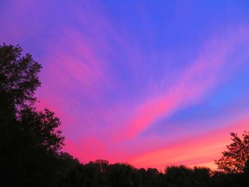 Low angle view of silhouette trees against romantic sky