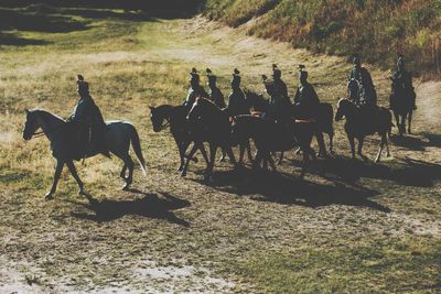 Horses on field