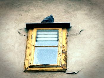 Low angle view of bird perching on old wall