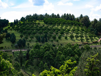 High angle view of townscape against sky