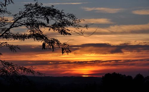 Silhouette trees on landscape against scenic sky