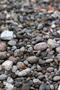 High angle view of stones