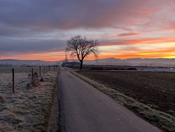 Scenic view of field against sky during sunset