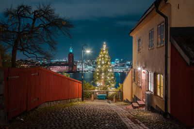 Illuminated christmas tree by house against sky at night