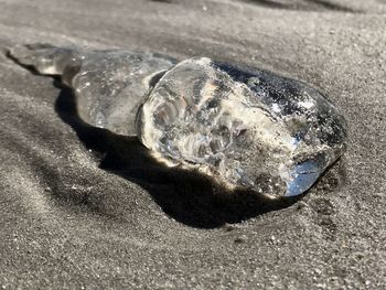 Close-up of water on leaf
