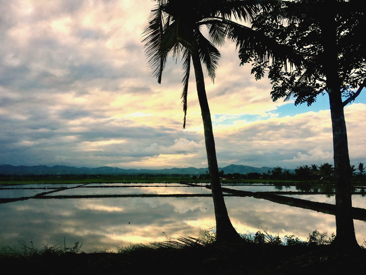 reflection, water, sunset, sky, cloud - sky, nature, lake, tree, tranquility, beauty in nature, no people, scenics, outdoors, tranquil scene, silhouette, dramatic sky, growth, landscape, extreme weather, day