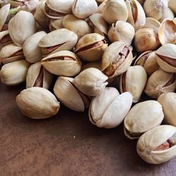 High angle view of shells on table