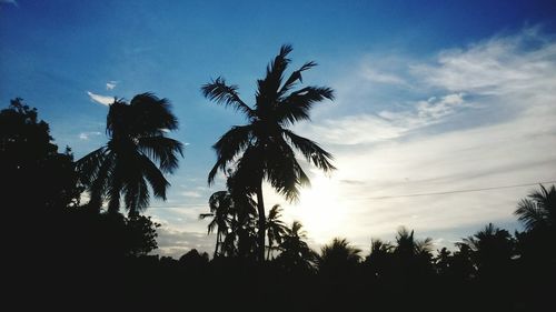 Low angle view of silhouette trees against sky