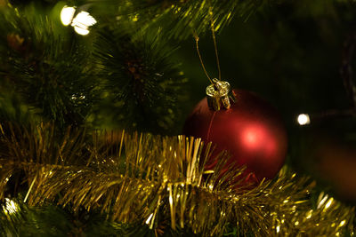 Close-up of christmas tree