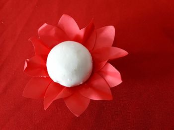 High angle view of white rose on red flower