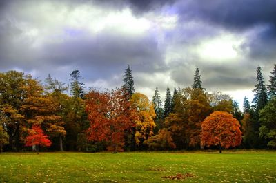 Scenic view of trees against sky during autumn