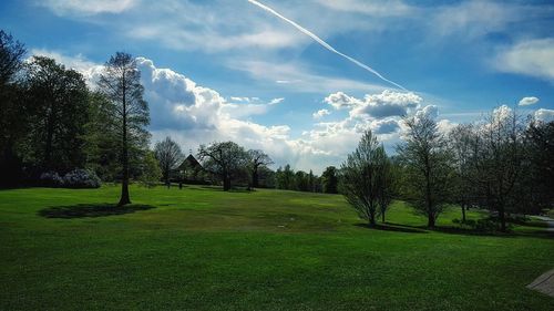 Trees on landscape against sky