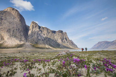 Two backpackers cross arctic tundra landscape in akshayak pass