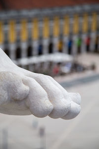 Close-up of human hand