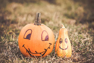 Close-up of pumpkin on pumpkins during autumn