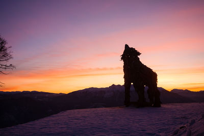 Side view of man riding horse on field against sky during sunset