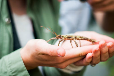 Cropped image of woman holding pet on cupped hands