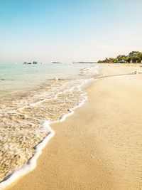 Scenic view of beach against clear sky