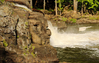 Scenic view of waterfall