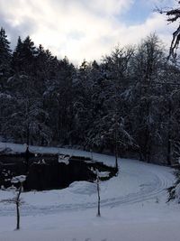 Scenic view of snow covered landscape