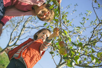 Low angle view of child on tree against sky