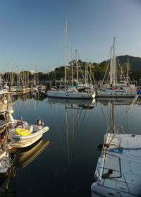 Sailboats moored in harbor