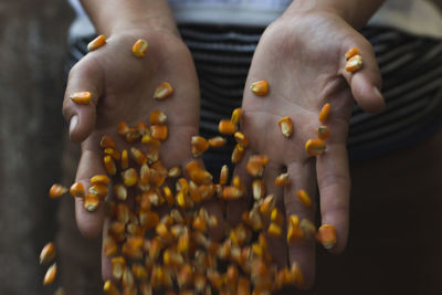 Midsection of person holding corn kernels