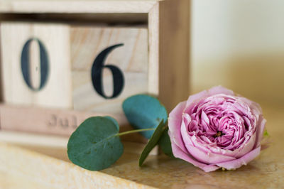 Close-up of pink rose on table
