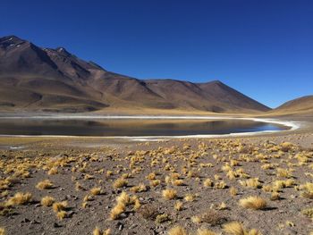 Scenic view of desert against clear sky