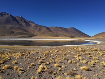 Scenic view of desert against clear sky