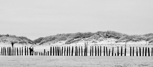 Wooden posts on beach against clear sky