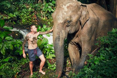 Shirtless young man standing by elephant in forest