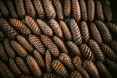 Full frame shot of pine cones