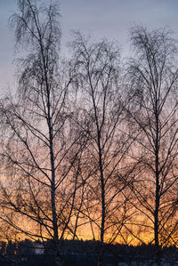 Low angle view of silhouette bare trees against sky