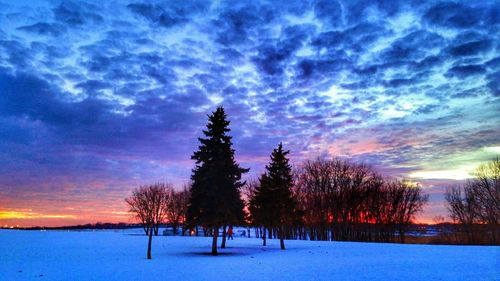 Scenic view of snow covered landscape